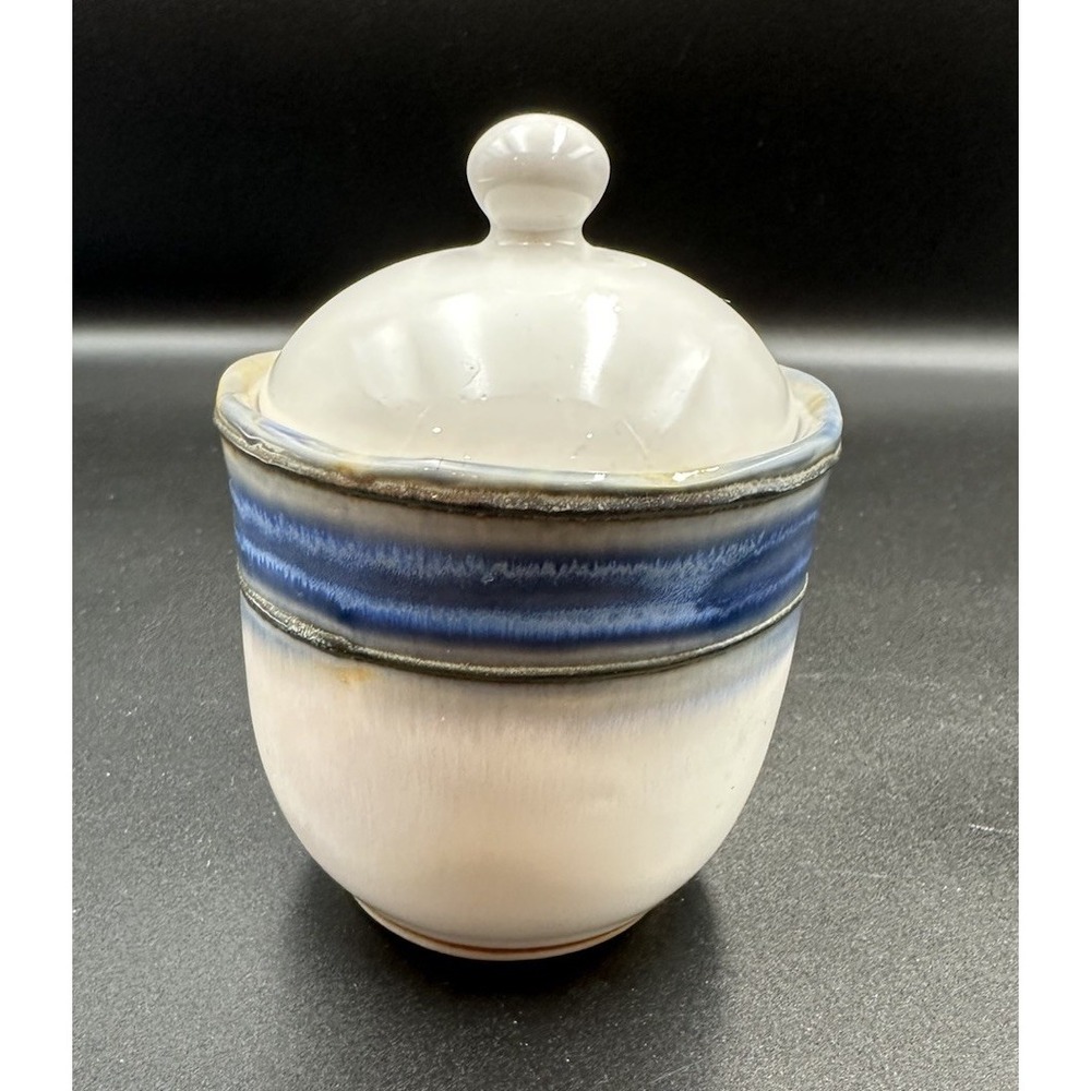 Sango Waves Blue 4972 Covered Sugar Bowl